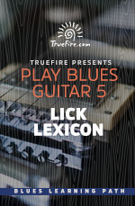 TrueFire - Play Blues Guitar 5: Lick Lexicon DVD