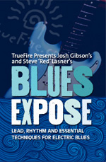 Steve Lasner - Blues Expose DVD