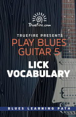 TrueFire - Play Blues Guitar 5: Lick Vocabulary - DVD