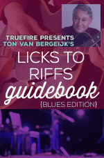 Ton van Bergeijk - Licks to Riffs Guidebook: Blues DVD