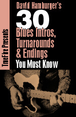 David Hamburger - 30 Blues Intros, Turnarounds, & Endings You MUST Know DVD