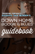 Richard Van Bergen - Down Home Boogie & Blues Guidebook DVD