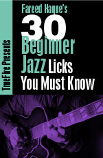 Fareed Haque - 30 Beginner Jazz Licks You MUST Know DVD